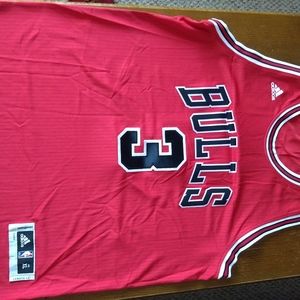 Dwyane Wade autographed Bulls jersey.
